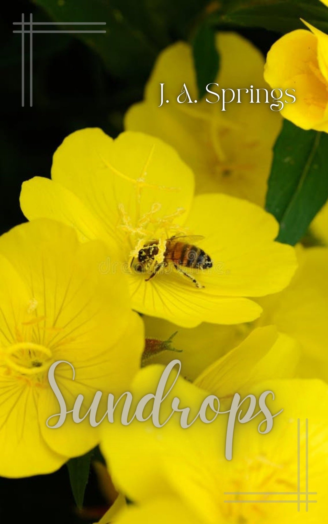 SunDrops book cover